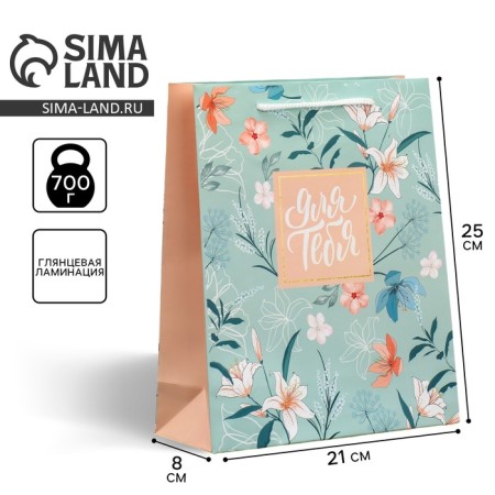Gift Package Laminated, Packaging, Just for You, Ml 21 x 25 x 8 cm