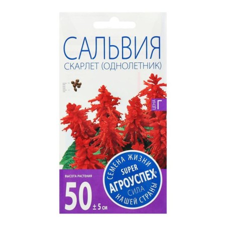 Flower seeds Salvia Scarlet, o, 0.1 g-1