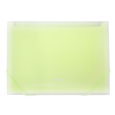 A4 cartridge folder on the 13 departments button, Erichkrause, Matt Neon, transparent plastic, mix-2