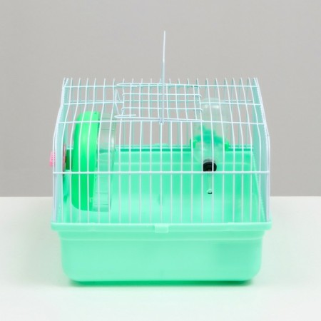 Cell for rodents "Pijon", 31 x 24 x 17 cm, green-2