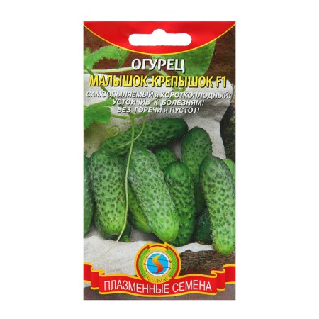Seeds of cucumber "Baby prying", medium early, parthenocapic, 10 pcs