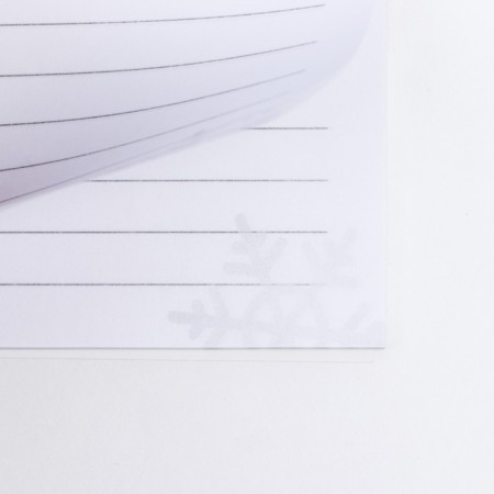 Gift New Year's set. Notepad and magnetic bookmarks of the "Magic Year!"-2