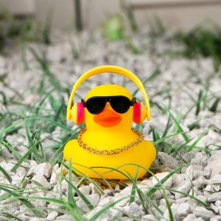 Duck with headphones, yellow color, with glasses