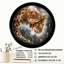 Wall watches, D-28 cm, interior 