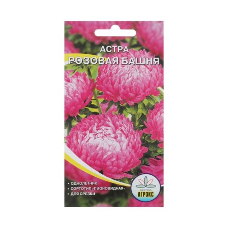 Flowers Seeds ANTERNAL ASTER "Pink Tower", Pion., 0.2 g