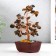 Bonsai souvenir 60 stones "Cash tree with tiger crystals" 13x7x5 cm