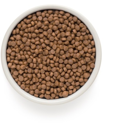 Grandorf dry food for sterilized cats, 4 meat with probiotics, low -grain, 2 kg-2