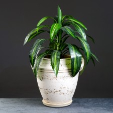Flowering pot 