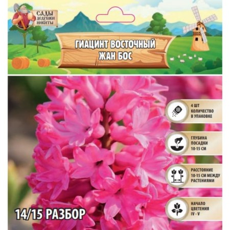 Hyacinth East Jean Bos, rr 14/15, 4 pcs, autumn 2024