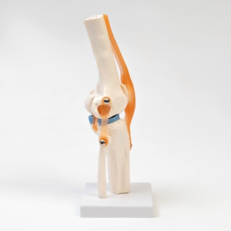 Layer Matcam, 32*12*12cm-4