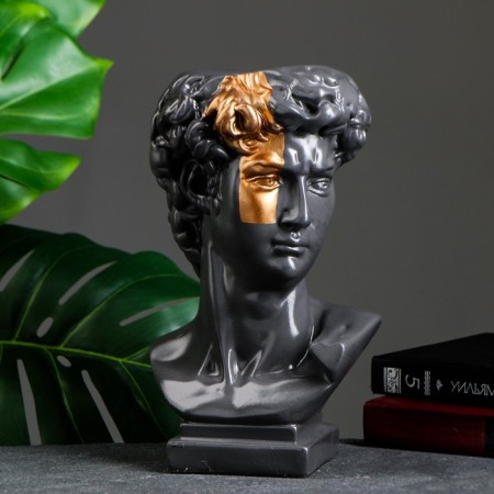 Kashpo - organizer "Bust of David" Big, Gray, Bronze, 28cm