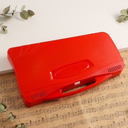 Musical tool Music Life, 25 tones, case, 2 sticks, red-3