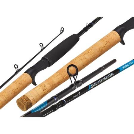 Salmo Aggressor Jerk 070, test 20-70, length 1.8 m.-1