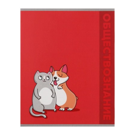 A set of object notebooks Calligrata TOP "Animals", 48 sheets, 12 items, with reference material, cover coated cardboard, matte lamination, selective UV-lame, offset block-17