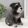 Piggy bank "Mittel puppy" height 17 cm, width 11.5 cm, length 16.5 cm black and white