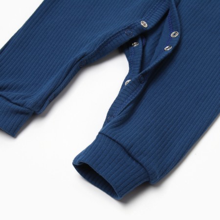 Combineson crumb I am Blueberry p. 62-68, blue-3