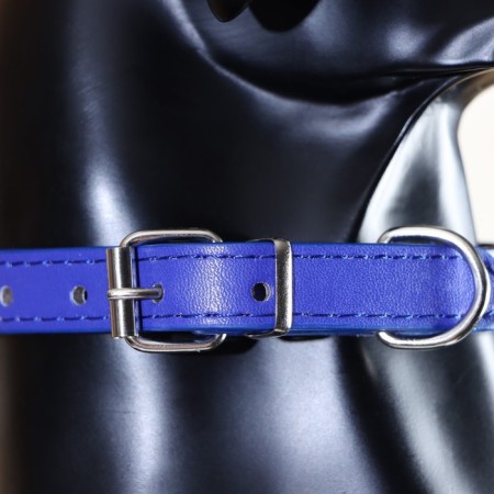 Collar "crown" with metal decor and rhinestones, 36 x 1.4 cm, Osh 24-31, blue-6