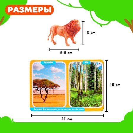 Developing Sorter Set “Study of Animals”, according to the Montessori Methodology-3