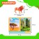 Developing Sorter Set “Study of Animals”, according to the Montessori Methodology