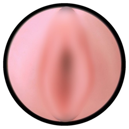 Masturbator Fleshlight Pink Lady Destroya, Vagina-5