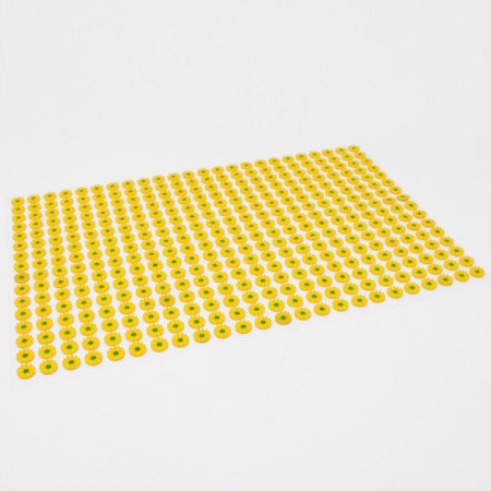 Kuznetsova applicator, 384 spines, film, 50 x 75 cm.
