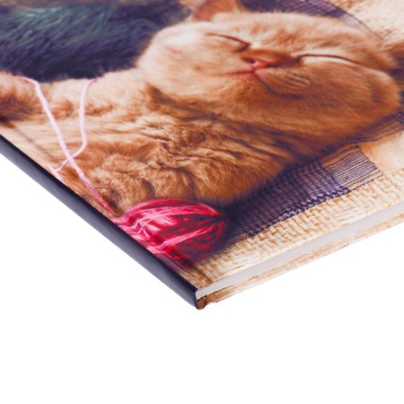 Diary for grades 1-4, "kitten", solid cover 7BC, glossy lamination, 48 sheets-2