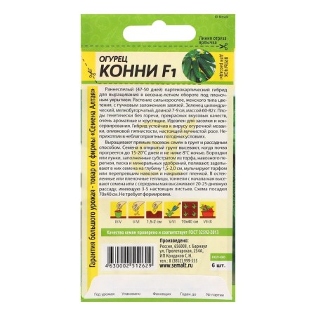 Cucumber seeds "Connie", F1, Altai seeds, set 5 pcs-1