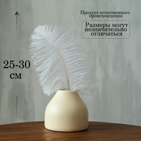 Feather for decor, size: 25-30 cm, white color-1