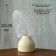 Feather for decor, size: 25-30 cm, white color