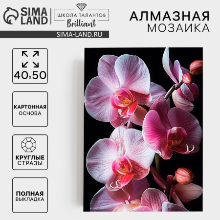 Diamond mosaic with full filling on the canch of "Orchids", 40 x 50 cm