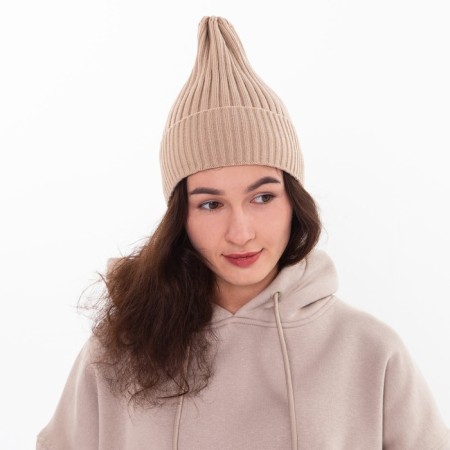 Female Winter hat, cocoa color, size 52-56-1