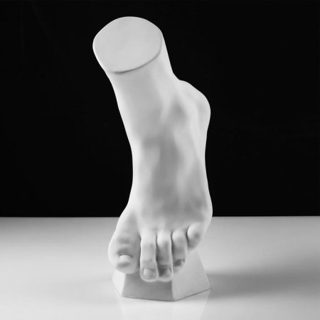 Anatomical gypsum figure: vertical foot, 14 x 23.5 x 38 cm-2