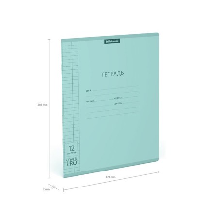 Notebook 12 sheet in the Erichkrause Coverpro Neon Classica, a plastic cover, an offset unit, whiteness is 100%, mint-8