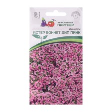 Seeds of flowers Alissum Sea 
