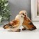 Souvenir Polystone Lak "Ordinary Sipuhi (Owls)" 14.8x6.5x8.7 cm