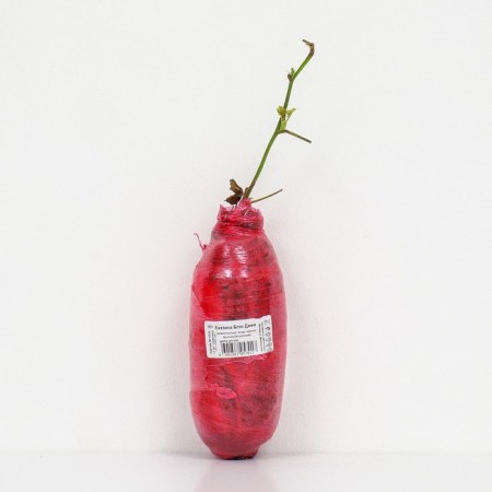 Black blackberry "Black Jam", 1 pc, tube, spring 2025-2
