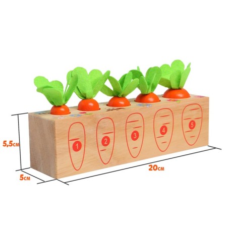 Developing set "Plant different carrots" 20 × 5.5 × 5 cm-2