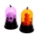 LED LED "Halloween", species mix