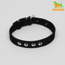 Animal collar