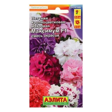 Petunia flowers maximum F1 large -flowered terry, a mixture of color, 10pcs-2