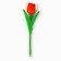 Balloon funnel “For the most beautiful”, red tulip