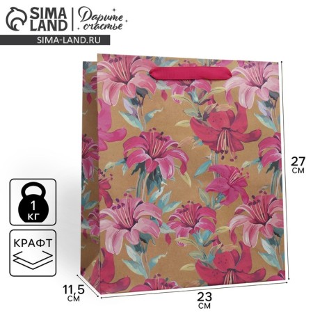 Package Gift Crafts Vertical, Packaging, Flowers, Ml 23 x 27 x 11.5 cm