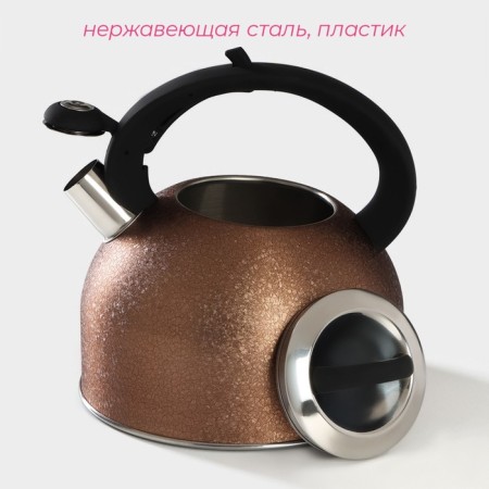 A kettle with a stainless steel whistle SNOW, 3 l, induction, gold color-1