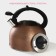 A kettle with a stainless steel whistle SNOW, 3 l, induction, gold color