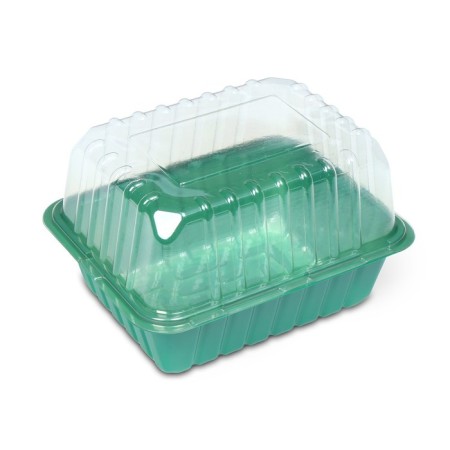 Mini-Pirate for seedlings 21 × 16 × 6.5, without inserts, Greengo-1