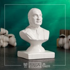 Bust 