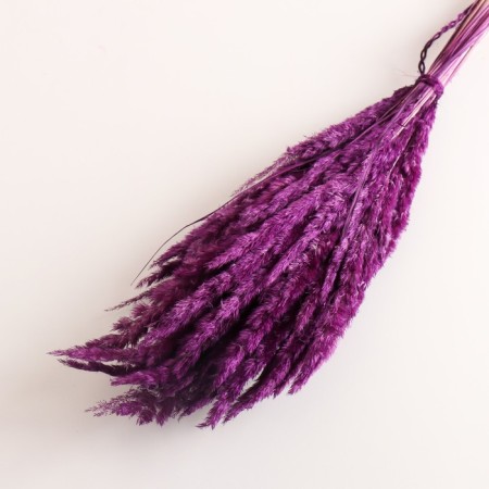 Set of dried flowers "Weinik", banch length 65 (+/- 6 cm), plum-2