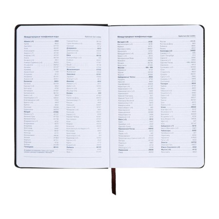 Lotted Diary, A5, 140l, Cage, Region Kozhzam, Gray-5