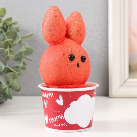 Growing gift grass grass "favorite hare" (21) mix-3