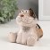 Souvenir Ceramics "Gray cat with spotted ears" 7.7x9.2 cm